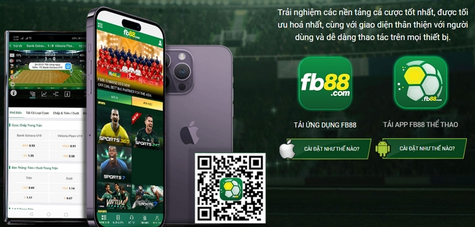 Kinh nghiệm cá cược bóng rổ