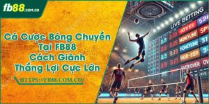 Cá Cược Bóng Chuyền Tại FB88 | Cách Giành Thắng Lợi Cực Lớn
